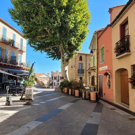 Chambre Climatisee Entre Mer Et Montagne, Avec Sdb Et Wc Privatifs Laroque-des-Albères المظهر الخارجي الصورة